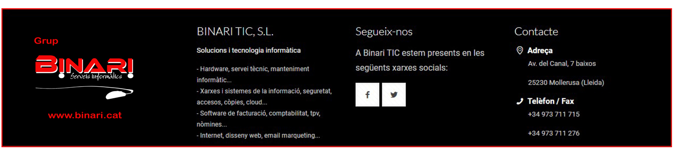 Binari_Serveis Informtics